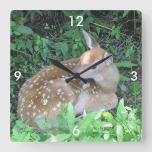 Reloj Cuadrado Fawn Wall Clock