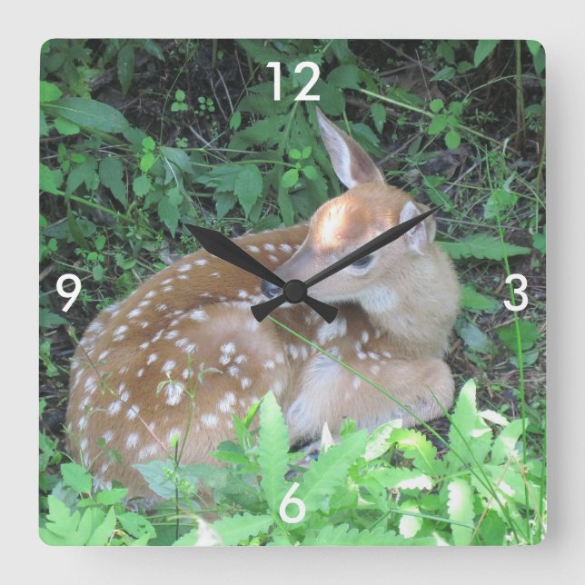 Reloj Cuadrado Fawn Wall Clock (Anverso)