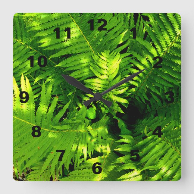 Reloj Cuadrado Fern (Anverso)