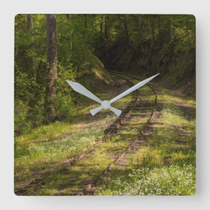 Reloj Cuadrado Ferrocarril Abandonado En Un Bosque