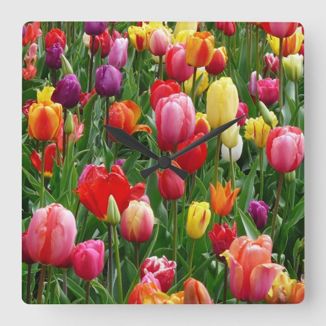 Reloj Cuadrado Festival de Tulip (Anverso)
