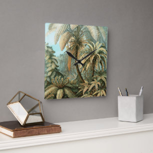 Reloj Cuadrado Filicinae por Ernst Haeckel, Plantas de helechos a