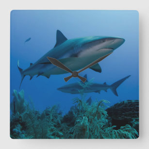 Reloj Cuadrado Filón del Caribe Shark Jardines de la Reina