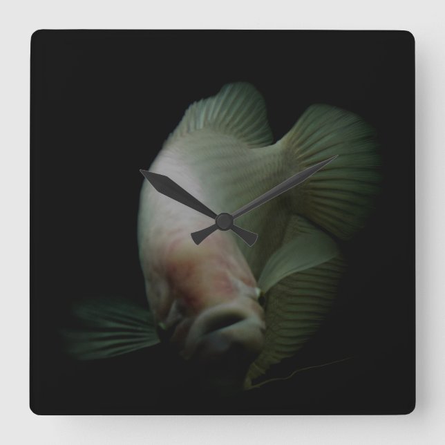 Reloj Cuadrado Fish in Tank Portrait (Anverso)