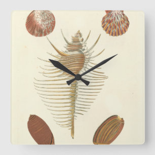 Reloj Cuadrado Five of a Kind Seashells