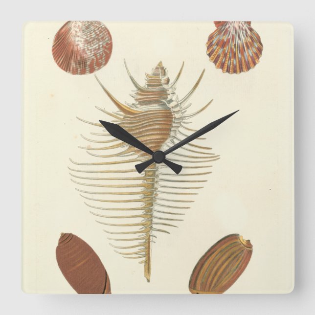 Reloj Cuadrado Five of a Kind Seashells (Anverso)