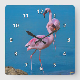 Reloj Cuadrado Flamencos rosas en el lago