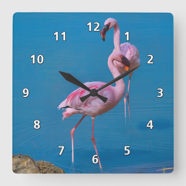 Reloj Cuadrado Flamencos rosas en el lago (Anverso)