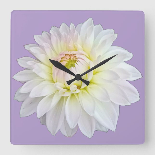 Reloj Cuadrado Flor blanca y rosa (Anverso)
