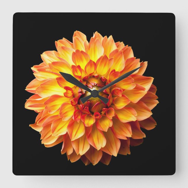 Reloj Cuadrado Flor de Dahlia (Anverso)