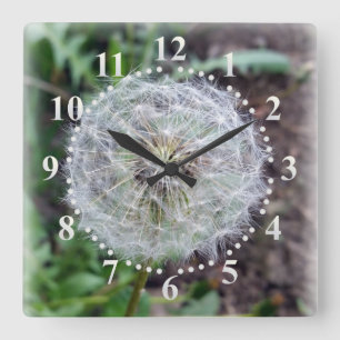 Reloj Cuadrado flor de dandelion