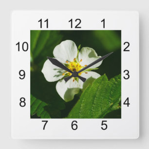 Reloj Cuadrado Flor de fresa silvestre