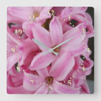 flor de jacinto rosa