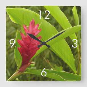 Reloj Cuadrado Flor de jengibre rojo (Alpinia) Tropical