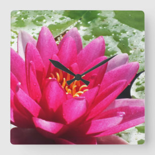 Reloj Cuadrado Flor de lirio acuático