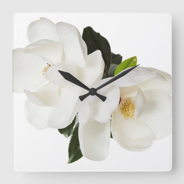 Reloj Cuadrado Flor de magnolias blancas Flores florales (Anverso)