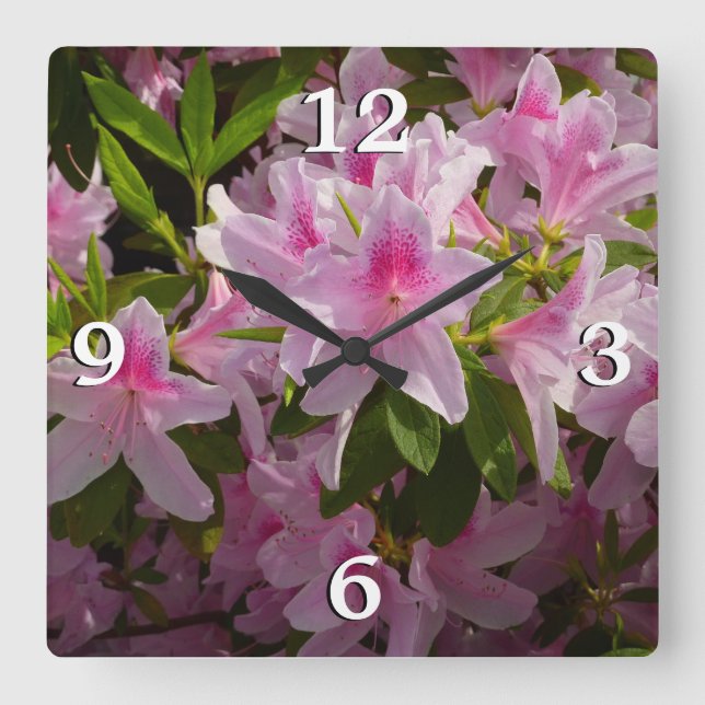 Reloj Cuadrado Flor de primavera rosada de Azalea Bush (Anverso)