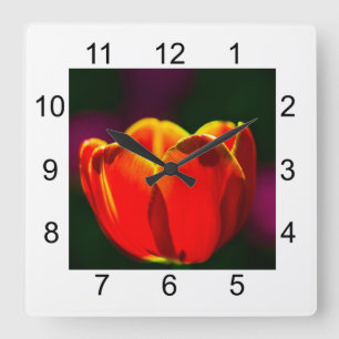 Reloj Cuadrado Flor de tulipán rojo