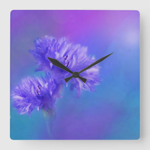 Reloj Cuadrado Flor de verano tardía Flor azul morado Cornflower