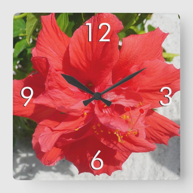 Reloj Cuadrado Flor doble roja hibiscus (Anverso)