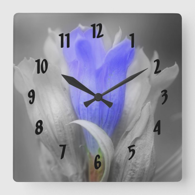 Reloj Cuadrado Flor Gentiana Azul En Blanco Y Negro (Anverso)