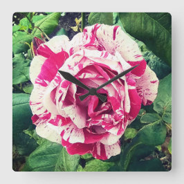 Reloj Cuadrado Flor rosa oscuro y blanca