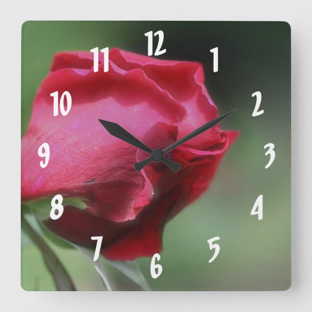 Reloj Cuadrado Flor rosebucal roja única (Anverso)
