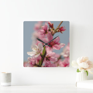 Reloj Cuadrado Flor sakura, flor japonesa rosa