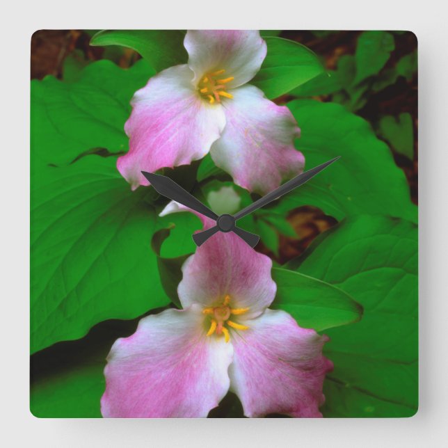 Reloj Cuadrado Flor silvestre Trillium (Anverso)