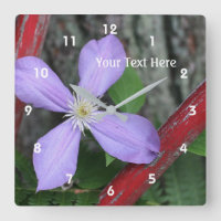 Flor simple púrpura de clematis
