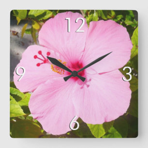 Reloj Cuadrado Flor tropical Hibiscus rosa