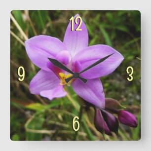 Reloj Cuadrado Flor tropical púrpura de orquídea salvaje
