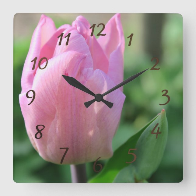Reloj Cuadrado flor tulpis rosa florecimiento (Anverso)