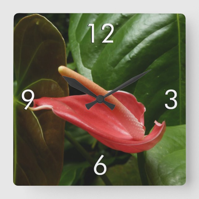 Reloj Cuadrado Floral de Calla Rosa Lily Elegant (Anverso)