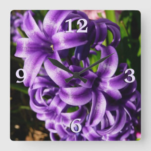Reloj Cuadrado Floral de primavera azul Hyacinin II