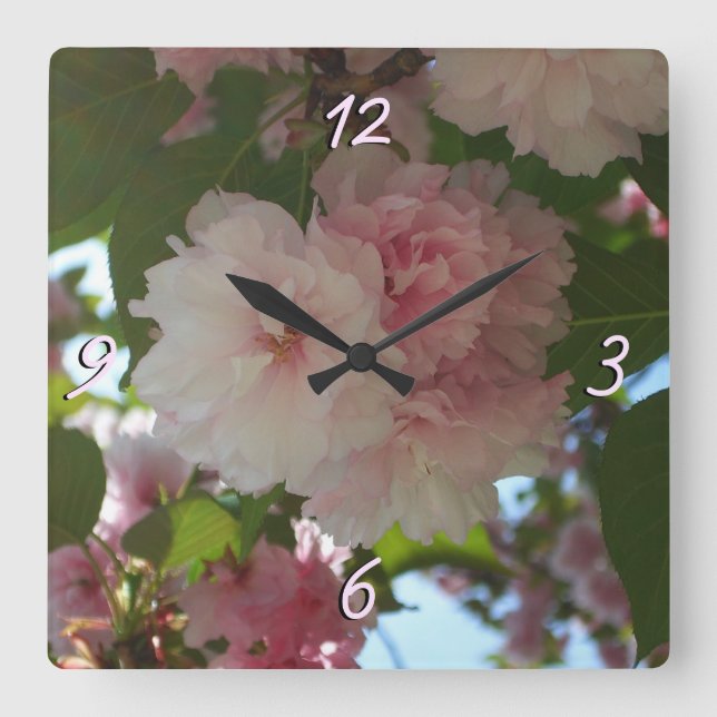 Reloj Cuadrado Floral de primavera del árbol de cerezo doble flor (Anverso)