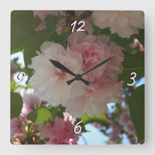 Reloj Cuadrado Floral de primavera del árbol de cerezo doble flor