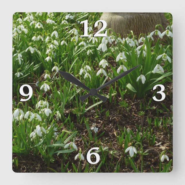 Reloj Cuadrado Floral de primavera (Galanthus) (Anverso)