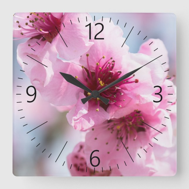 Reloj Cuadrado Florecimiento de la primavera (Anverso)