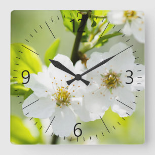 Reloj Cuadrado Florecimiento de primavera
