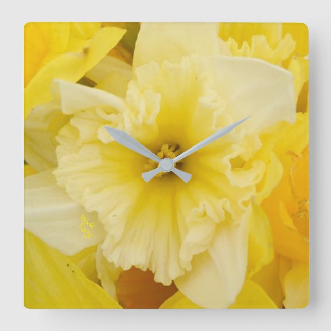 Reloj Cuadrado Flores amarillas bonitas del narciso (Anverso)
