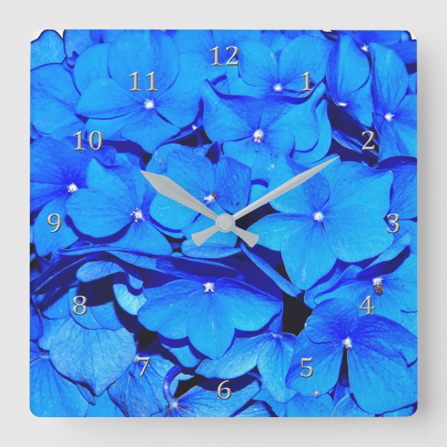 Reloj Cuadrado Flores azules profundas del Hydrangea de la (Anverso)