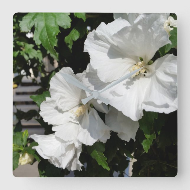 Reloj Cuadrado flores blancas cálidas (Anverso)
