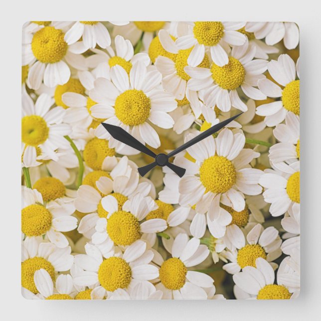 Reloj Cuadrado Flores | Bunch of Chamomiles (Anverso)