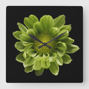Reloj Cuadrado Flores Crisantemo verde