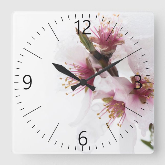 Reloj Cuadrado Flores de almendra cubiertas de nieve (Anverso)