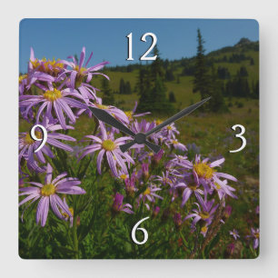 Reloj Cuadrado Flores de Aster Púrpura en Mount Rainier
