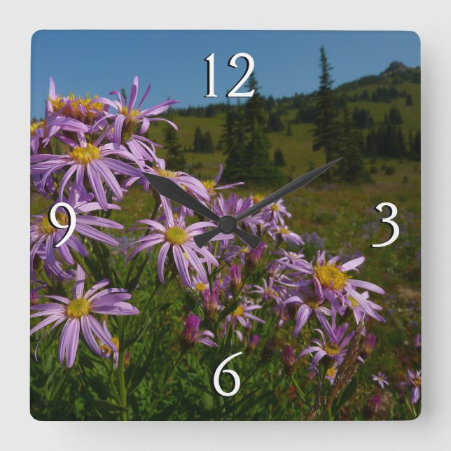 Reloj Cuadrado Flores de Aster Púrpura en Mount Rainier (Anverso)