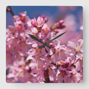 Reloj Cuadrado Flores de Cerezo Sakura Besadas por la Luz del Sol