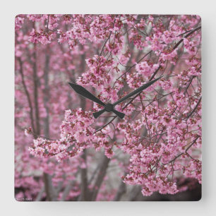 Reloj Cuadrado Flores de cerezo Sakura rosadas flotando
